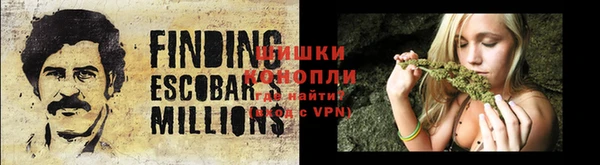 mdpv Козловка