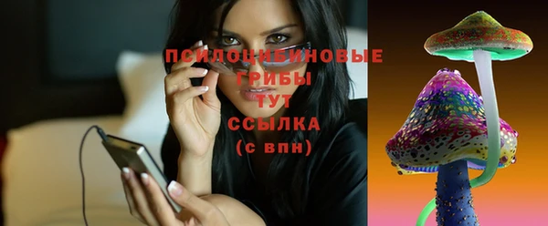 mdpv Козловка
