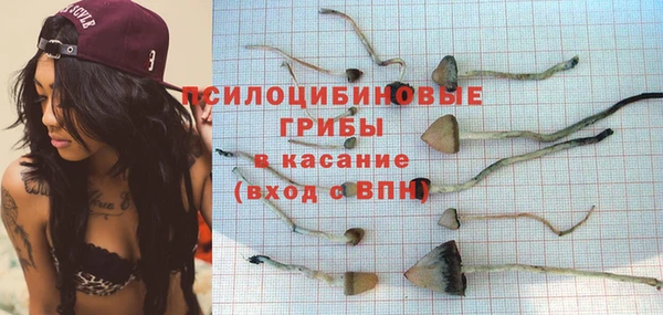 дурь Козельск