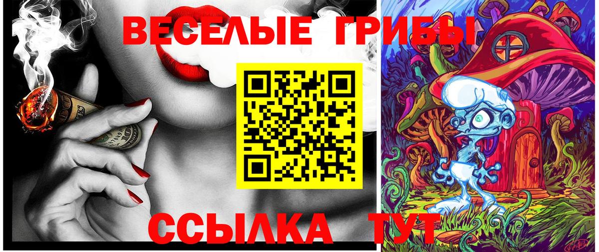 Галлюциногенные грибы Magic Shrooms Знаменск